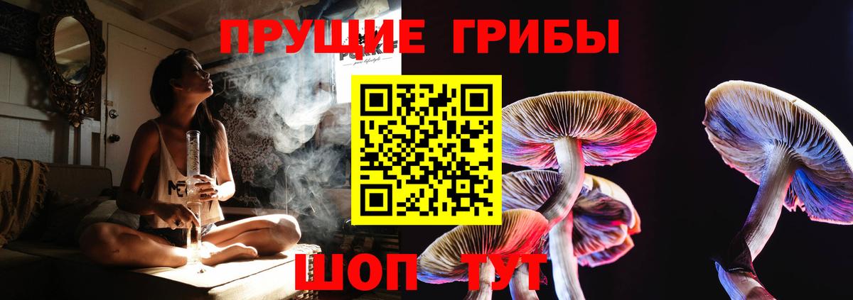 Псилоцибиновые грибы прущие грибы Десногорск