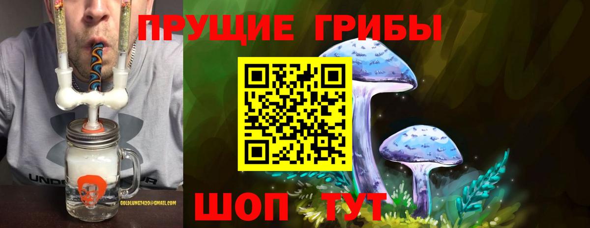 Псилоцибиновые грибы Psilocybine cubensis  где продают   Галлюциногенные грибы Cubensis  Десногорск  Вход с VPN 